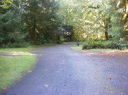Driving Loop C Hoh Campground Olympic National Park