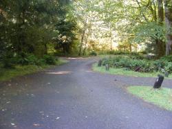 Driving Loop C Hoh Campground Olympic National Park