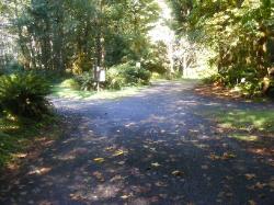 Driving Loop C Hoh Campground Olympic National Park