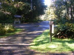 Driving Loop C Hoh Campground Olympic National Park