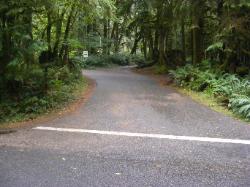 Driving Loop A Fairholme Campground Olympic National Park
