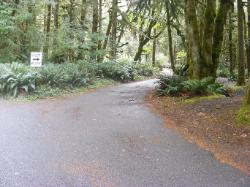 Driving Loop A Fairholme Campground Olympic National Park