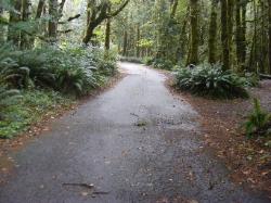 Driving Loop A Fairholme Campground Olympic National Park