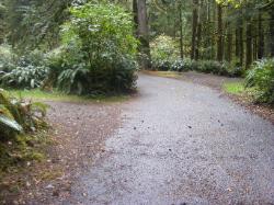 Driving Loop A Fairholme Campground Olympic National Park