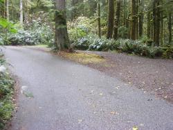 Driving Loop A Fairholme Campground Olympic National Park