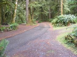 Driving Loop A Fairholme Campground Olympic National Park
