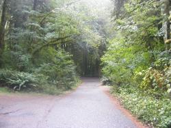 Driving Loop A Fairholme Campground Olympic National Park