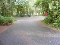 Driving Loop A Fairholme Campground Olympic National Park