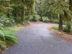 Driving Loop B Fairholm Campground Olympic NP