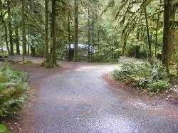 Driving Loop B Fairholm Campground Olympic NP
