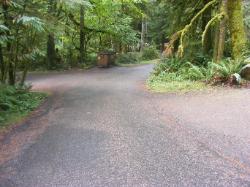 Driving Loop B Fairholm Campground Olympic NP