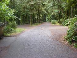 Driving Loop B Fairholm Campground Olympic NP