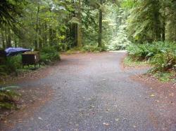 Driving Loop B Fairholm Campground Olympic NP