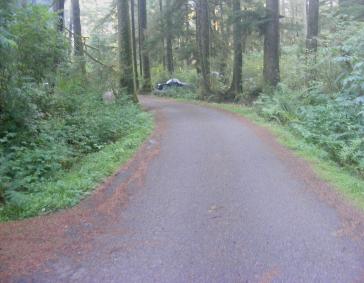 Mora Campground Olympic National Park