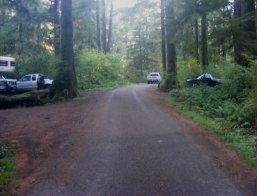 Mora Campground Olympic National Park
