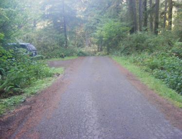 Mora Campground Olympic National Park
