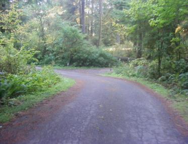 Mora Campground Olympic National Park