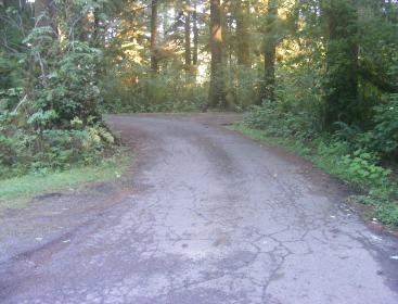 Mora Campground Olympic National Park