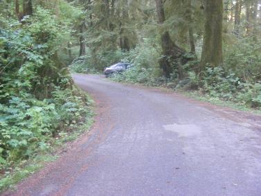 Mora Campground Olympic National Park