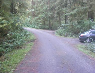 Mora Campground Olympic National Park