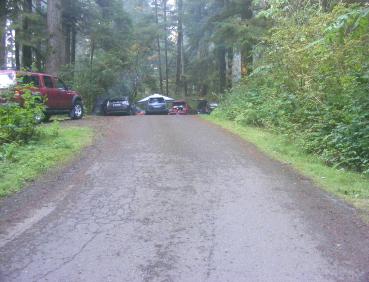 Mora Campground Olympic National Park