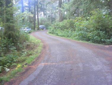 Mora Campground Olympic National Park