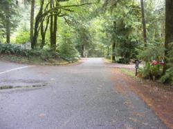 Driving Olympic NP Fairholm Loop C