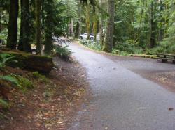 Driving Olympic NP Fairholm Loop C