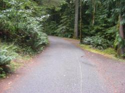 Driving Olympic NP Fairholm Loop C