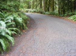 Driving Olympic NP Fairholm Loop C