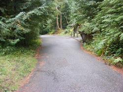 Driving Olympic NP Fairholm Loop C