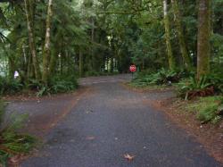 Driving Olympic NP Fairholm Loop C