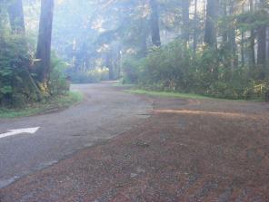 Mora Campground Loop C