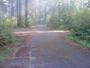Mora Campground Loop C