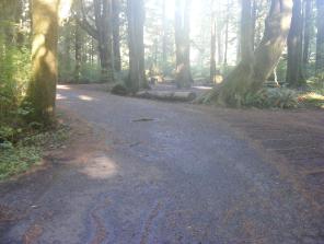 Mora Campground Loop C