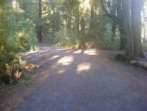 Mora Campground Loop C