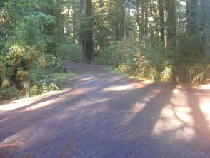 Mora Campground Loop C