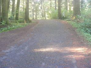 Mora Campground Loop C Olympic National Park