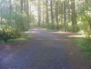 Mora Campground Loop C Olympic National Park