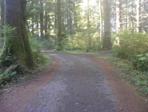 Mora Campground Loop C Olympic National Park