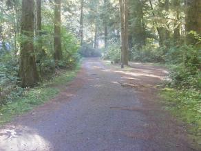 Mora Campground Loop C Olympic National Park