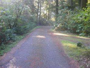 Mora Campground Loop C Olympic National Park