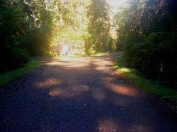 Driving Loop D Mora Campground Olympic National Park