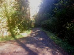 Driving Loop D Mora Campground Olympic National Park