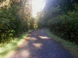 Driving Loop D Mora Campground Olympic National Park