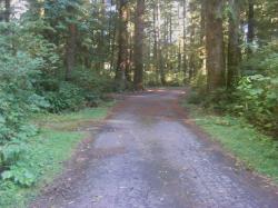Driving Loop D Mora Campground Olympic National Park