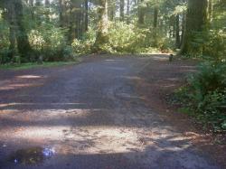 Driving Loop D Mora Campground Olympic National Park