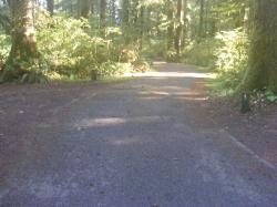 Driving Loop D Mora Campground Olympic National Park