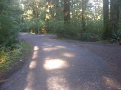 Driving Loop D Mora Campground Olympic National Park