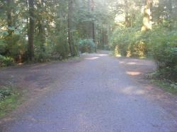 Driving Loop D Mora Campground Olympic National Park